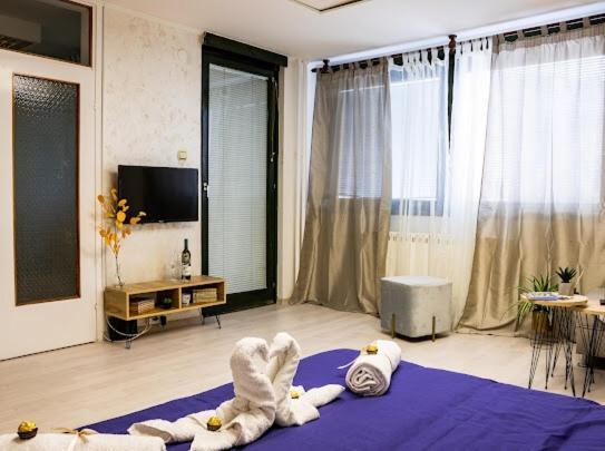 Center Cozy Apartment Subotica Zewnętrze zdjęcie