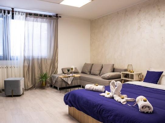 Center Cozy Apartment Subotica Zewnętrze zdjęcie