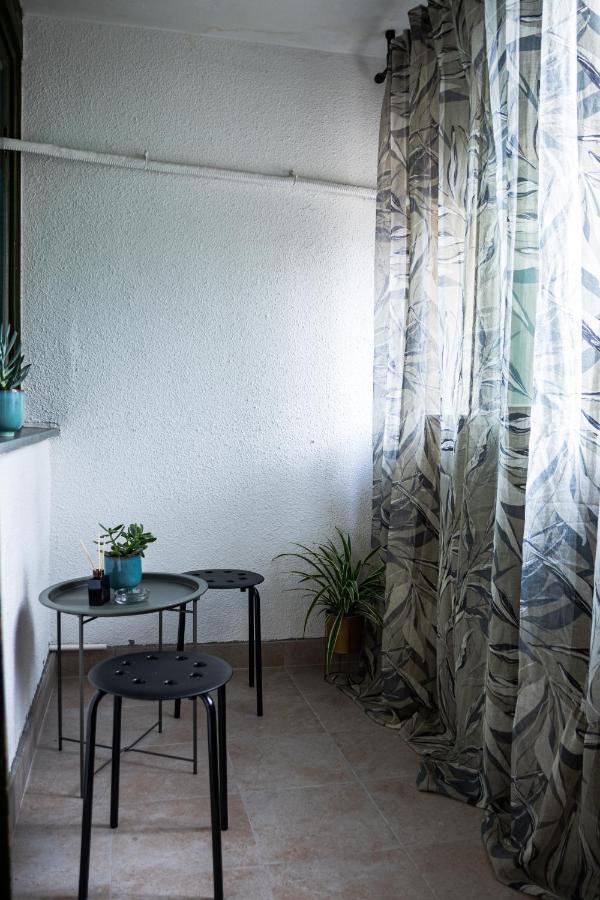 Center Cozy Apartment Subotica Zewnętrze zdjęcie